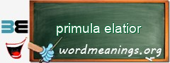 WordMeaning blackboard for primula elatior